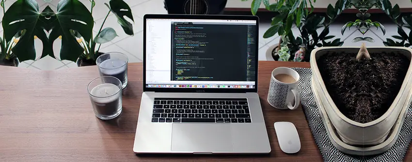 Why should you choose PHP for web development?